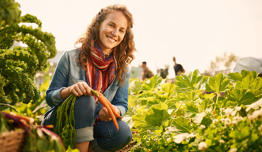 friendly woman harvesting vegetables